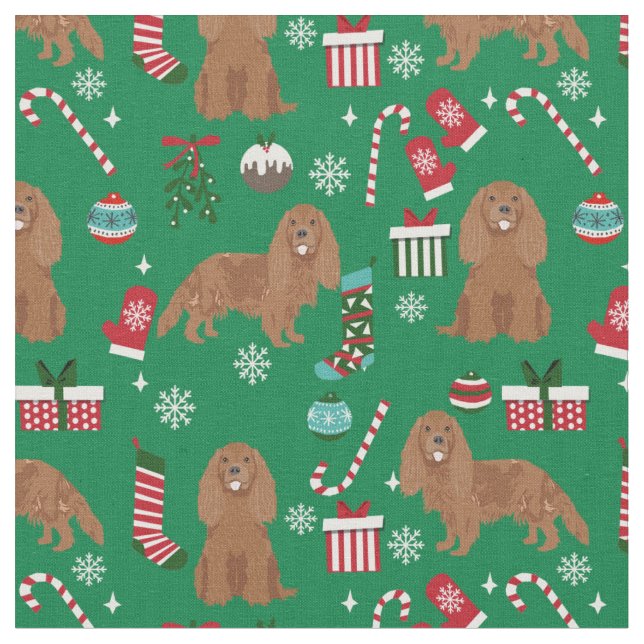 Tela navidades de rugby del rey Charles Spaniel (De cerca)