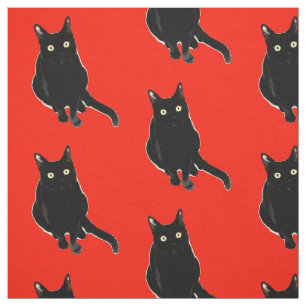 Tela negra de la fotografía del gato del gatito