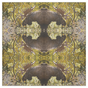 Tela Noble Bull Moose