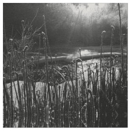 Tela Noms Sunrise Fabric