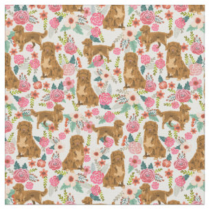 Tela nova scotia retriever florines crema