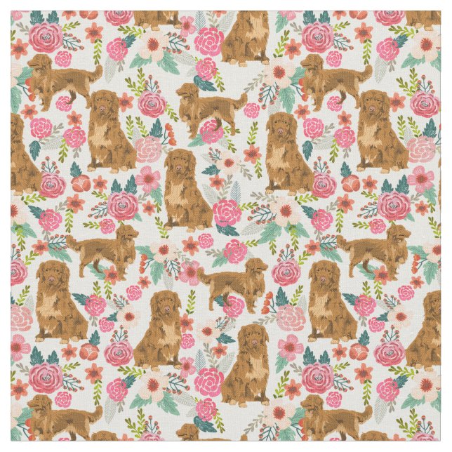Tela nova scotia retriever florines crema (De cerca)