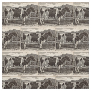 Tela Novilla del siglo XIX de Holstein de la impresión