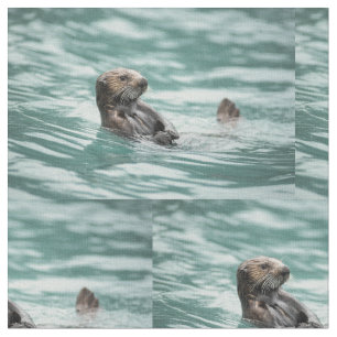 Tela Nutria de mar de observación