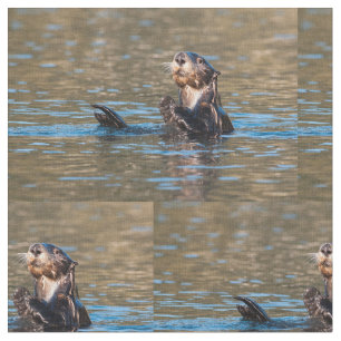 Tela Nutria de mar soleada