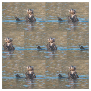 Tela Nutria de mar soleada