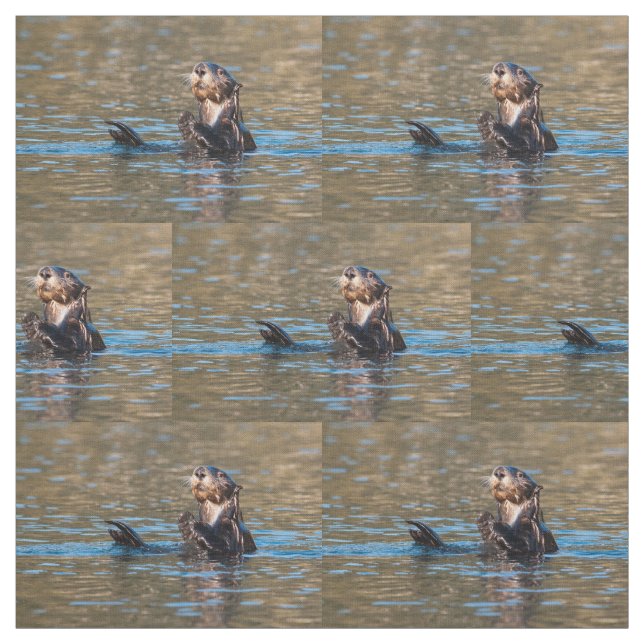 Tela Nutria de mar soleada (Retal)