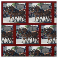 Obispo Mule Days 2018
