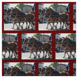 Tela Obispo Mule Days 2018