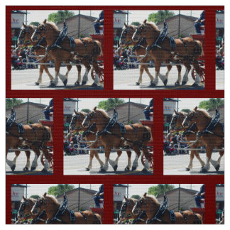 Tela Obispo Mule Days 2018