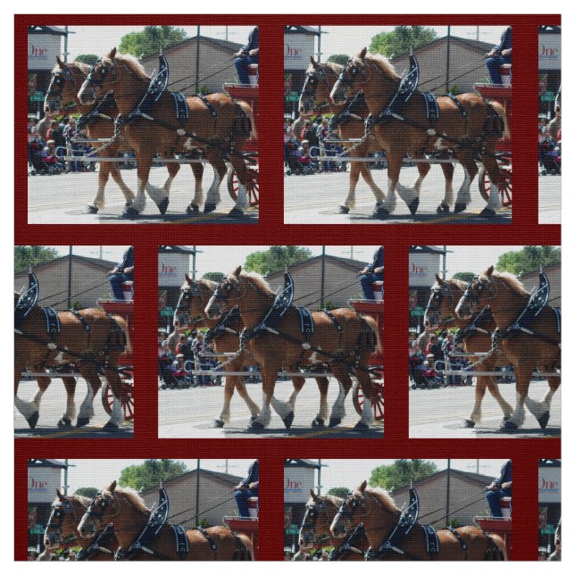 Tela Obispo Mule Days 2018 (Retal)