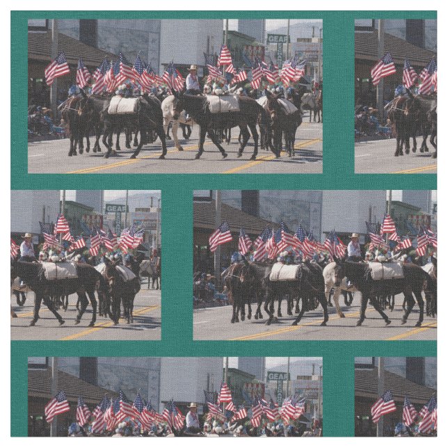 Tela Obispo Mule Days 2018 (De cerca)