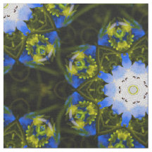Ojos de bebé azul caleidoscópico Flores de primave