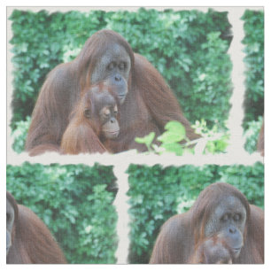 Tela Orangután