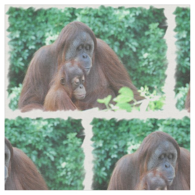 Tela Orangután (De cerca)