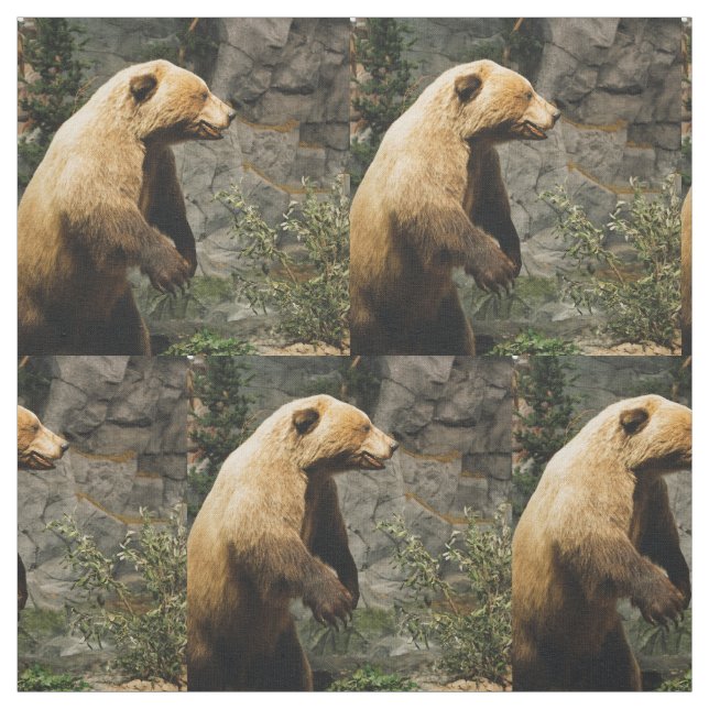 Tela Orgullo (Retal)