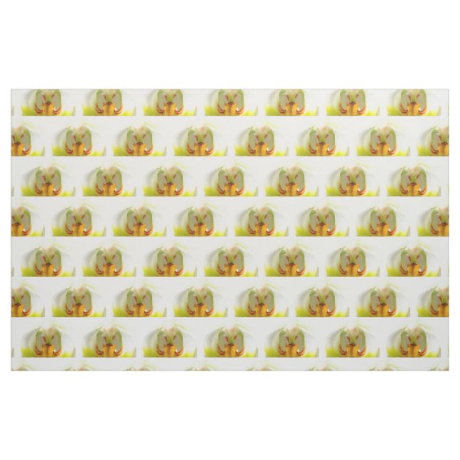 Tela orquídeas amarillas y blancas ("Cuarto gordo" (fat quarter))
