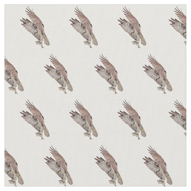 Tela Osprey con un pez (De cerca)
