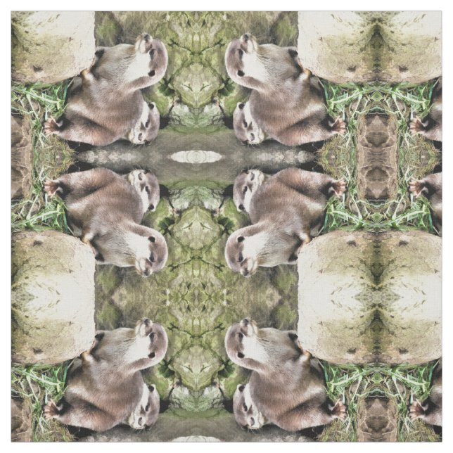TELA OTTERS (Retal)