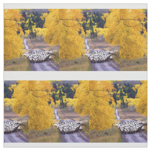 Tela Ovejas en la carretera nacional