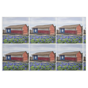 Tela Paisaje de Texas con Bluebonnets