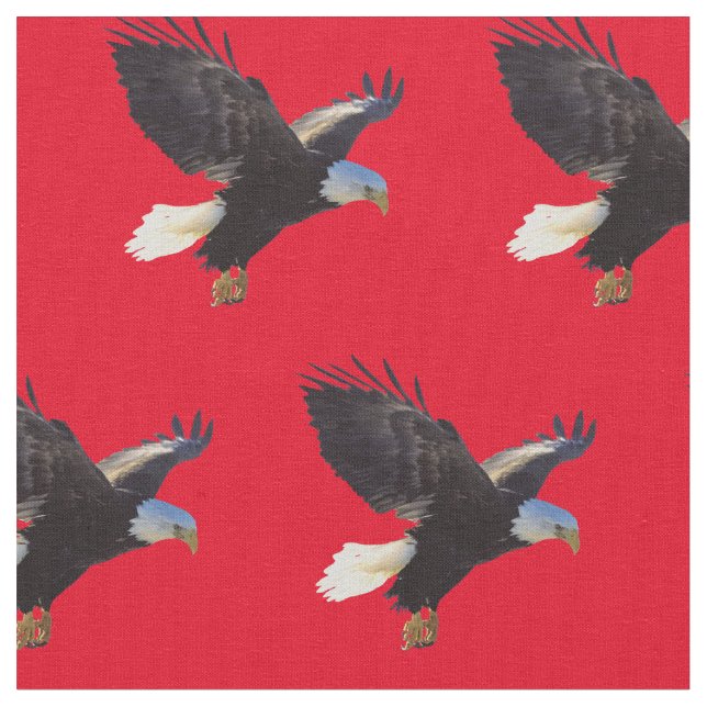 Tela Pájaro americano de las águilas calvas (De cerca)