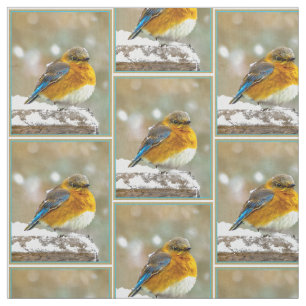 Tela Pájaro azul oriental en nieve - Fotografía origina