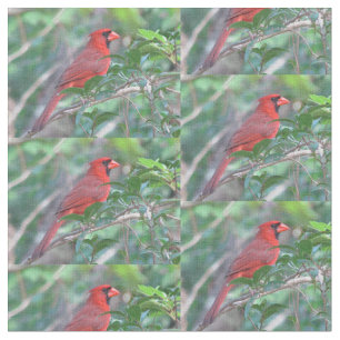Tela Pájaro cardinal rojo