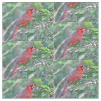 Tela Pájaro cardinal rojo