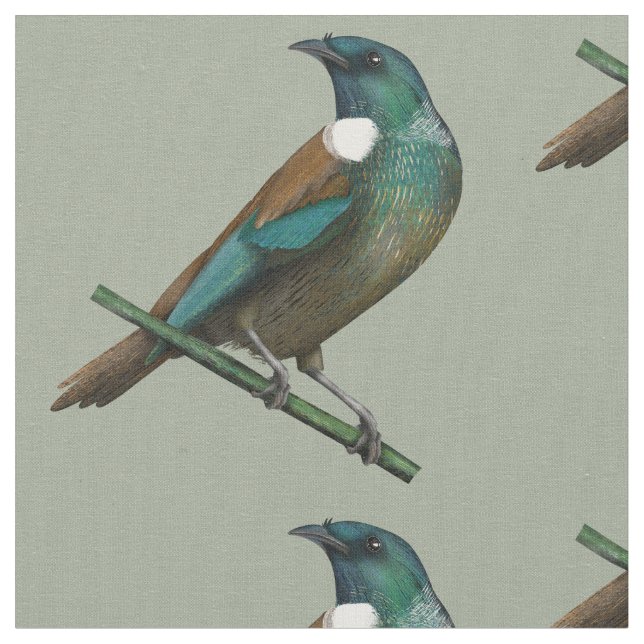 Tela Pájaro de Nueva Zelanda (De cerca)
