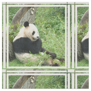 Tela panda-4.jpg