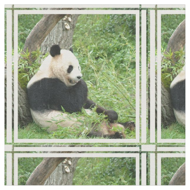 Tela panda-4.jpg (De cerca)