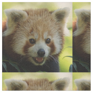 Tela panda roja