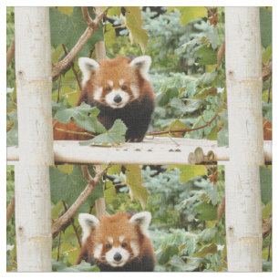 Tela Panda rojo
