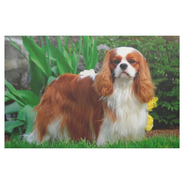 Tela Panel de perros de Blenheim Cavalier King Charles  (Yarda)
