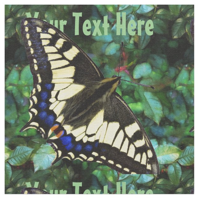 Tela Papilio Swallowtail (De cerca)