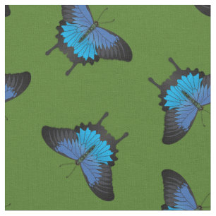 Tela Papilio Ulysses Mariposas Trasfaltadas Mariposa