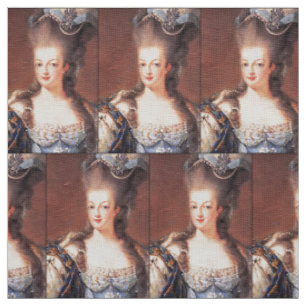 Tela Paris French Marie Antoinette Fabric