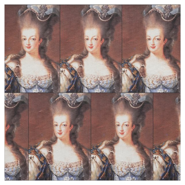 Tela Paris French Marie Antoinette Fabric (Retal)