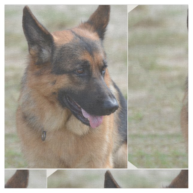 Tela Pastor alemán adorable (De cerca)