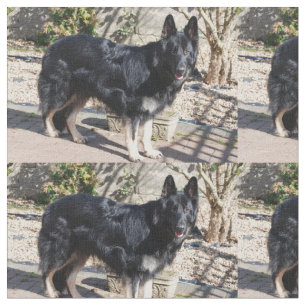 Tela pastor alemán negro full.png