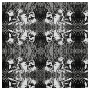 Tela Patos pequeños