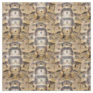 Tela Patrón de cáscara de tortoise