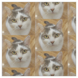 Tela Patrón de foto personalizada de perro gato
