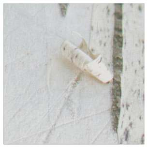 Tela Patrón de la corteza de Birch