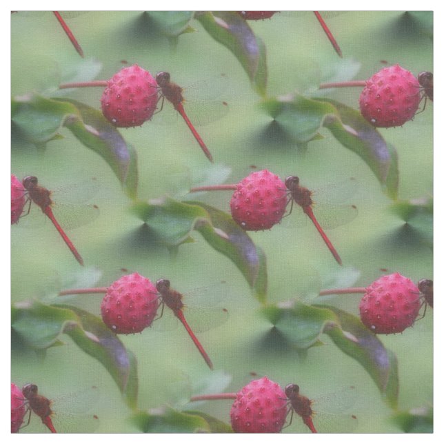 Tela Patrón de la naturaleza de los insectos de la libé (Retal)