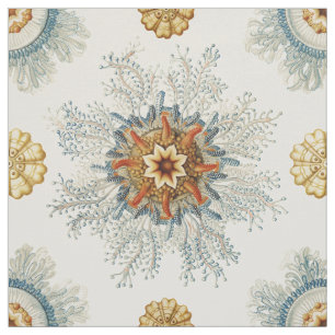 Tela Patrón de Mandala coral