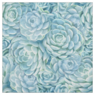 Tela Patrón de Sucultores de Echeveria Verde azulada Li