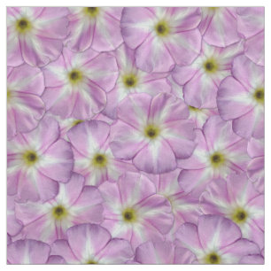 Tela Patrón sin foco