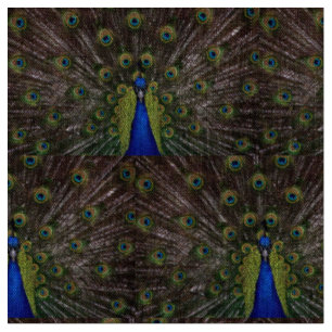 Tela Pavo Real Hermoso